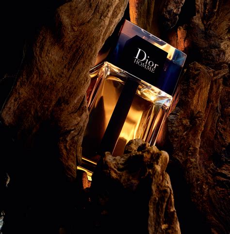 dior new 2020|Dior cologne 2020.